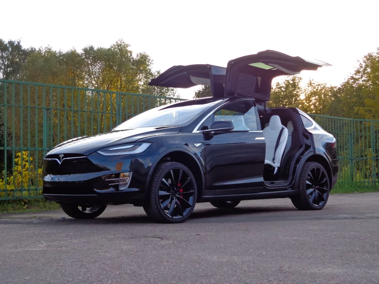 Аренда Tesla Model X черная с водителем в Москве, цена от 10000 р/ч